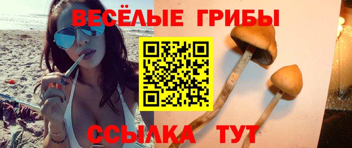 Псилоцибиновые грибы Cubensis  Псилоцибиновые грибы ЛСД  Вход с VPN  Норильск 